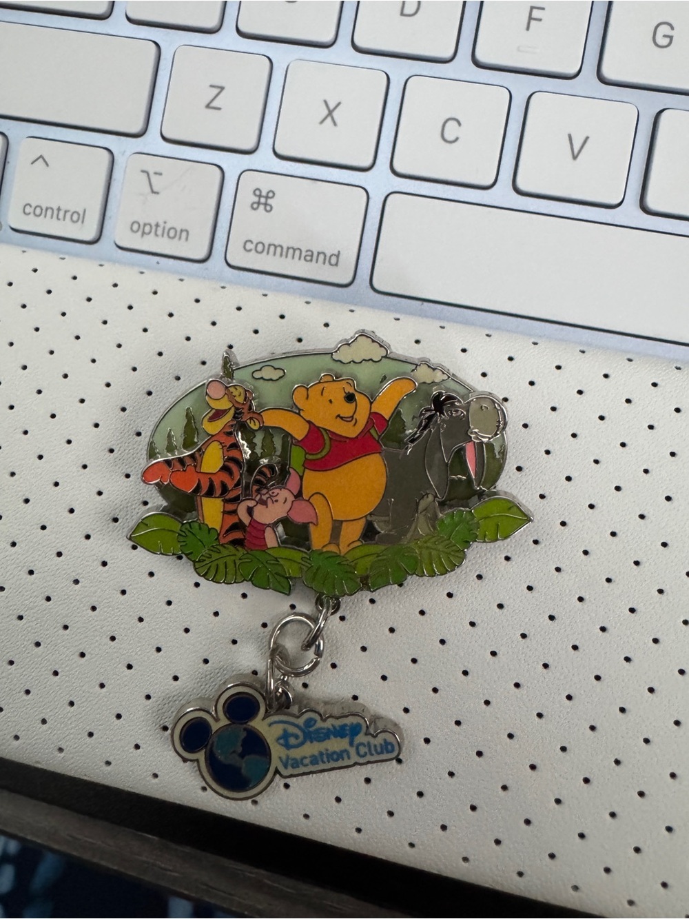 2019 Disney Vacation Club DVC Member Limited Edition Pin Winnie the Pooh